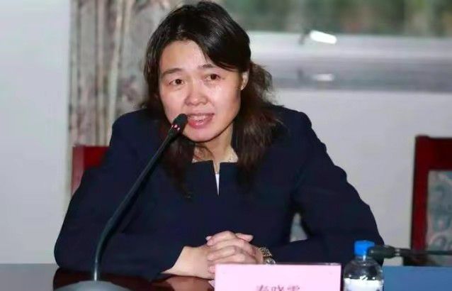 国产视频二区在线观看