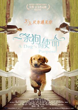 老师行做爰免费