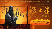 成人h在线播放