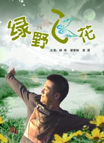 办公室X女郎2020