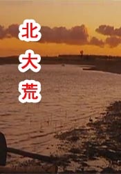 妻子的自由