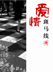 国产成人a v