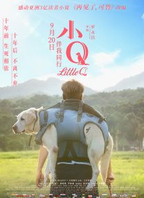 日韩不卡手机视频在线观看