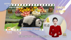 免费观看一级特黄三大片视频